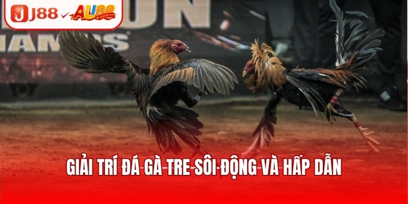 Giải trí đá gà tre sôi động và hấp dẫn
