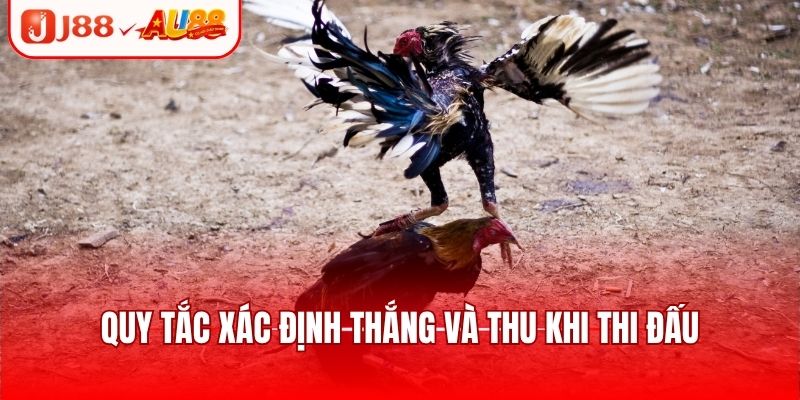 Quy tắc xác định thắng và thua khi thi đấu
